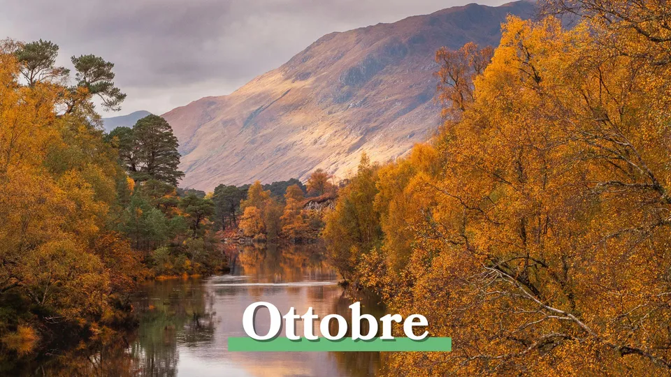 Viaggi di gruppo a ottobre